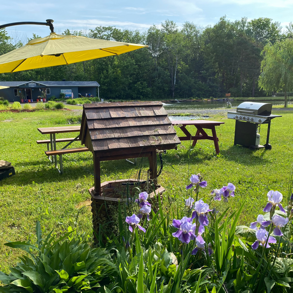 Combo Pêche/BBQ Propane